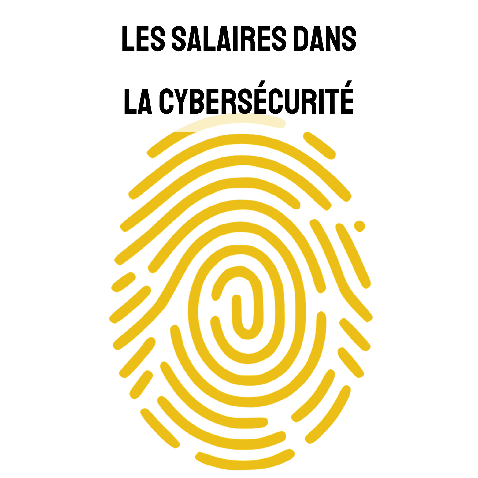 Les salaires dans la Cybersécurité